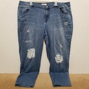 Lane Bryant jeans 20 Low Rise Boyfriend Flex Magic denim distressed crochet